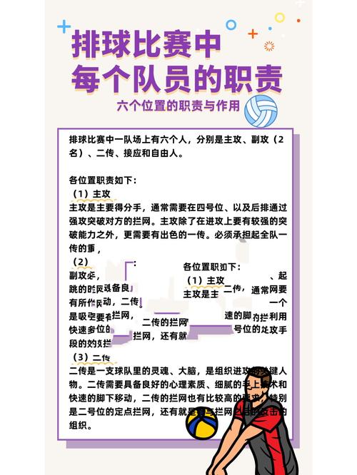 排球赛场上上场几个人,排球上场人数规定-第4张图片-无暮网 排球赛场上上场几个人,排球上场人数规定-第4张图片-无暮网