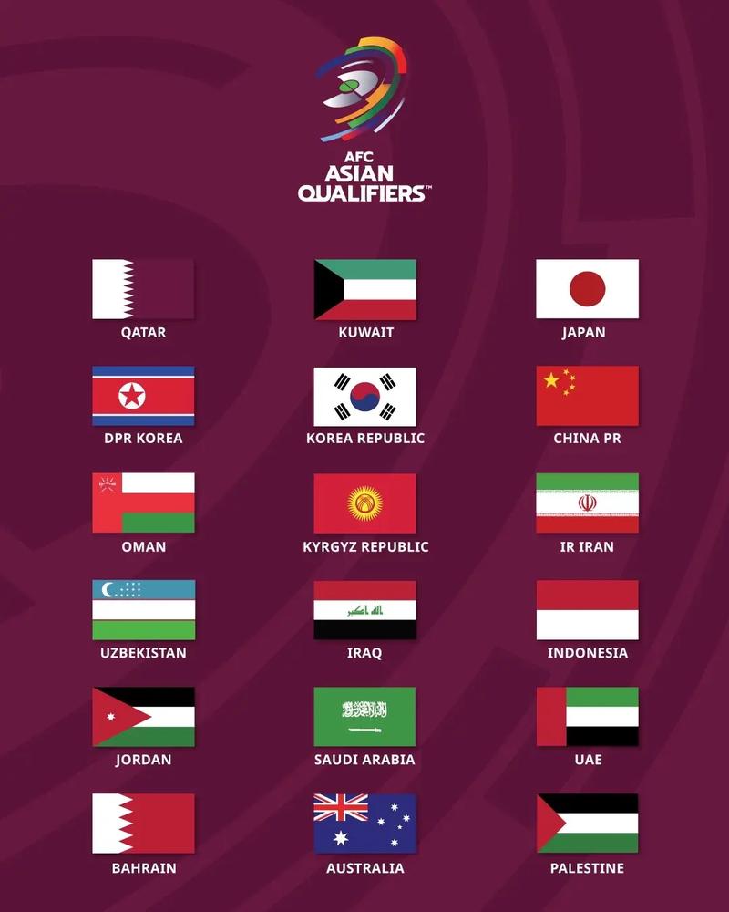 2018年世界杯美国参加了吗（18年世界杯有没有美国）-第7张图片-无暮网
