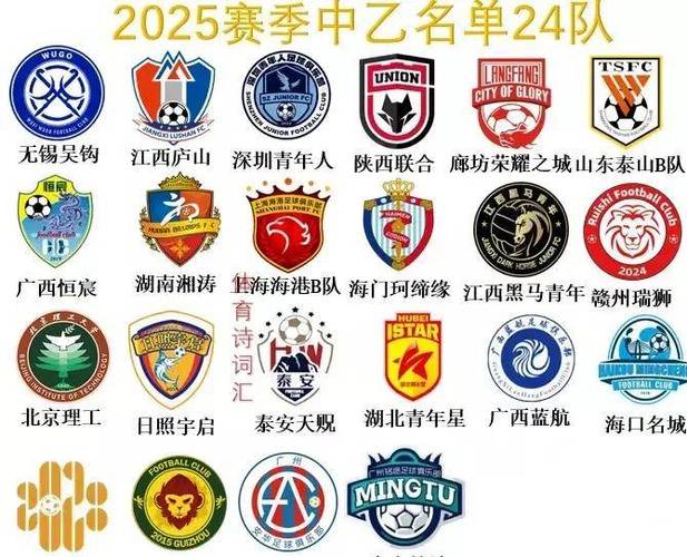 中超联赛16支球队大名单（2020中超16支球队名称）-第5张图片-无暮网