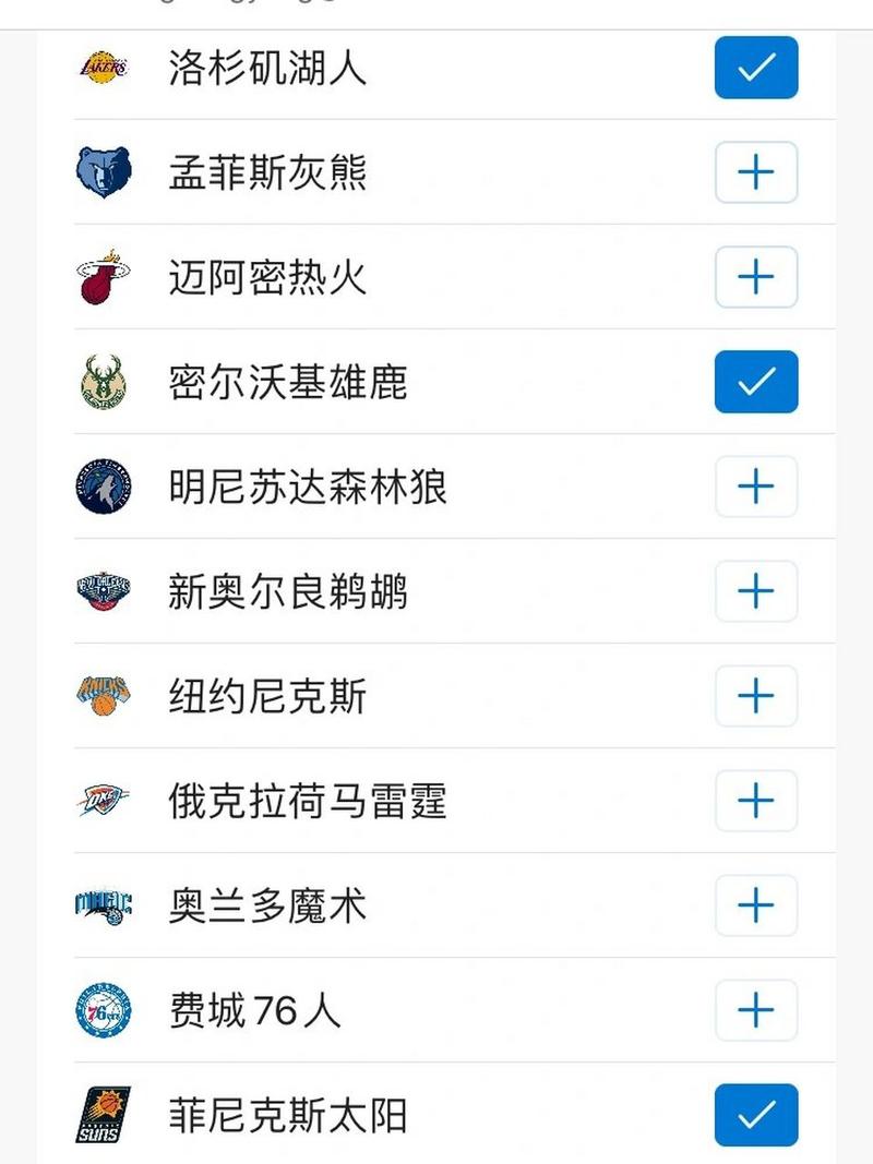 美国篮球相关简介（美国篮球运动）-第5张图片-无暮网