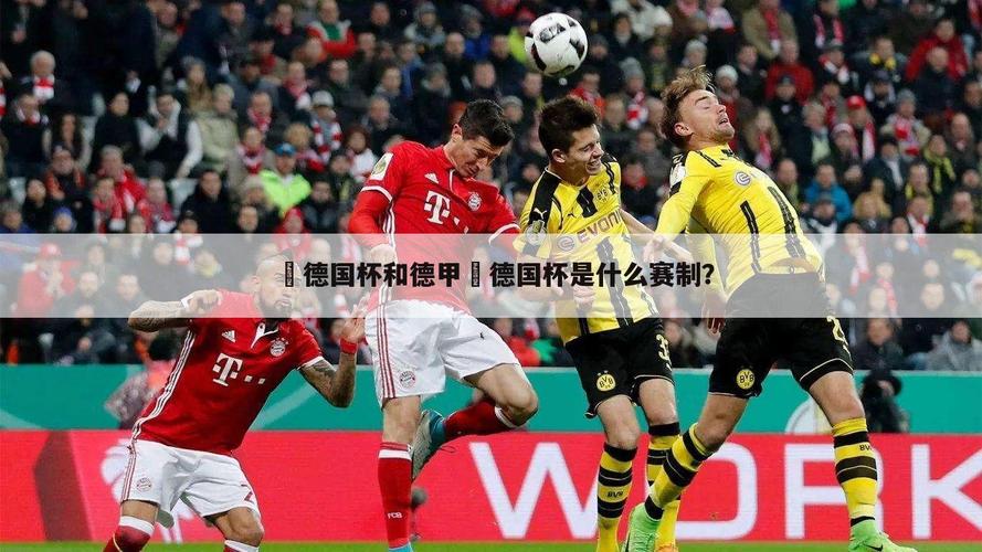 德甲是什么（德甲是什么比赛项目）-第4张图片-无暮网