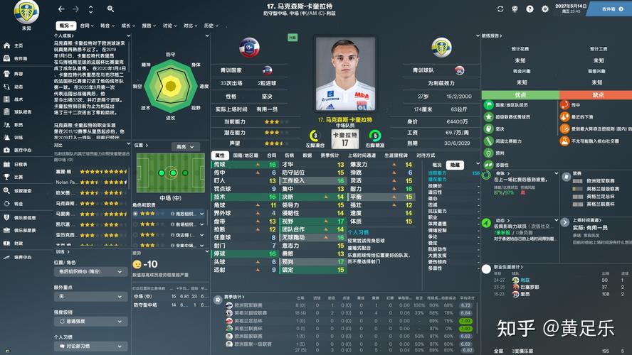 fifa足球经理和fm哪个好玩,足球经理fmt跟fm区别-第3张图片-无暮网