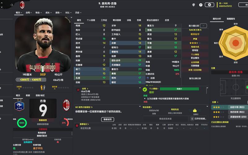 fifa足球经理和fm哪个好玩,足球经理fmt跟fm区别-第4张图片-无暮网
