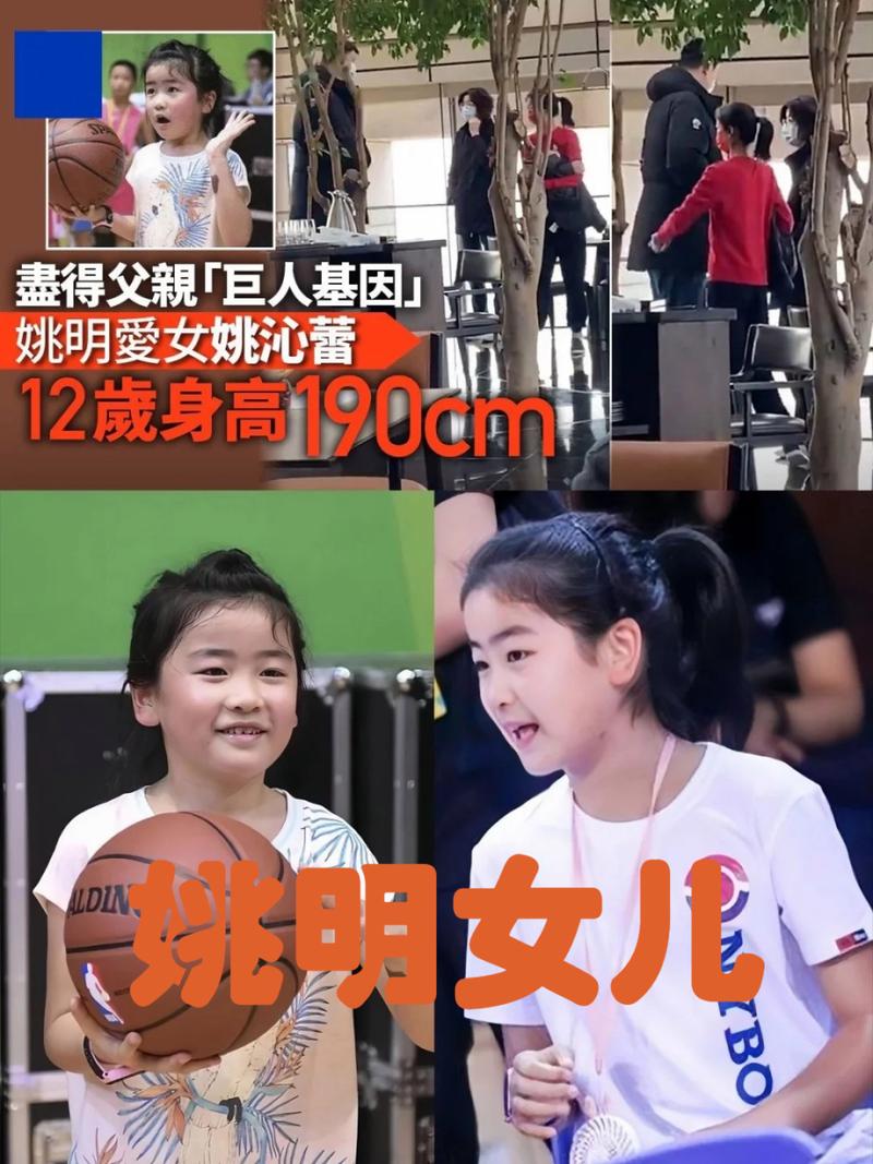 姚明的女儿是谁(姚明的女儿多好)-第6张图片-无暮网 姚明的女儿是谁(姚明的女儿多好)-第6张图片-无暮网