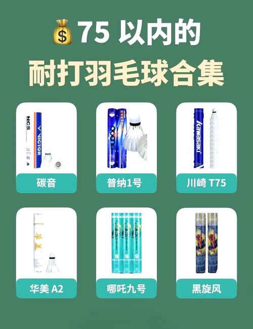 什么羽毛球耐打又实惠,什么羽毛球耐打又实惠又好打-第7张图片-无暮网