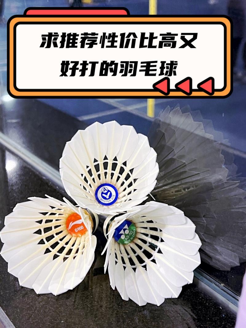 什么羽毛球耐打又实惠,什么羽毛球耐打又实惠又好打-第8张图片-无暮网