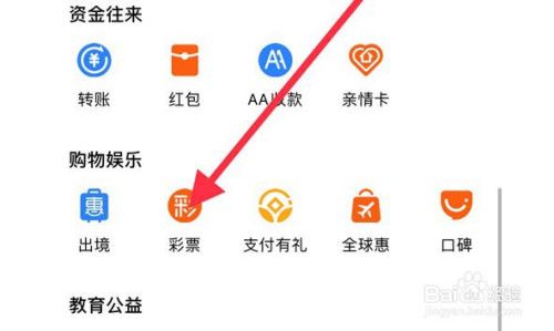 支付宝能买世界杯彩票吗（支付宝能不能买欧洲杯彩票）-第6张图片-无暮网