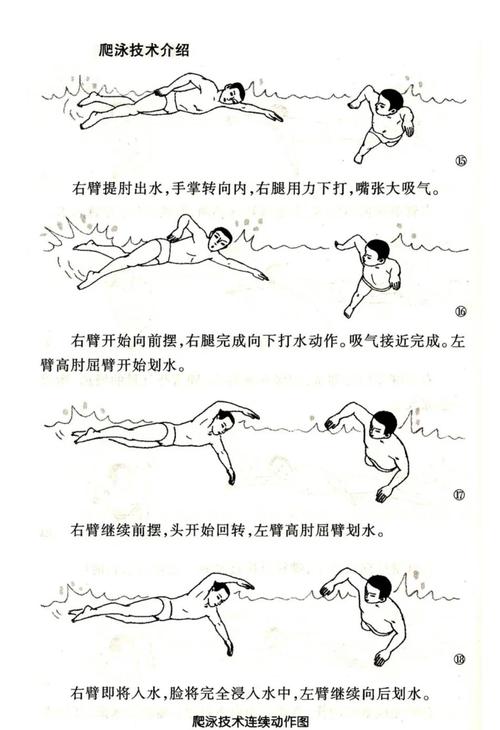 怎样学会自由泳,怎样学好自由泳示范动作-第6张图片-无暮网 怎样学会自由泳,怎样学好自由泳示范动作-第6张图片-无暮网
