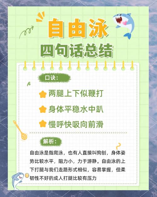 怎样学会自由泳,怎样学好自由泳示范动作-第7张图片-无暮网 怎样学会自由泳,怎样学好自由泳示范动作-第7张图片-无暮网
