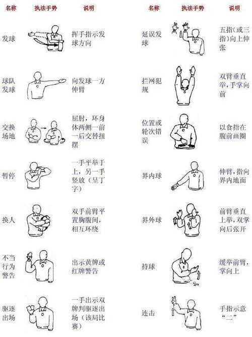 排球比赛发球后每队可接触球几次（排球比赛中发球时间为几秒）-第5张图片-无暮网