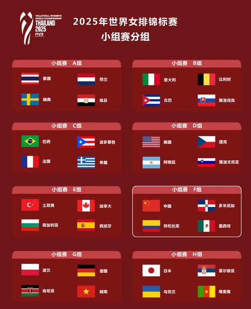 2015女排世界杯最佳排名,2015年女排世界杯亚军