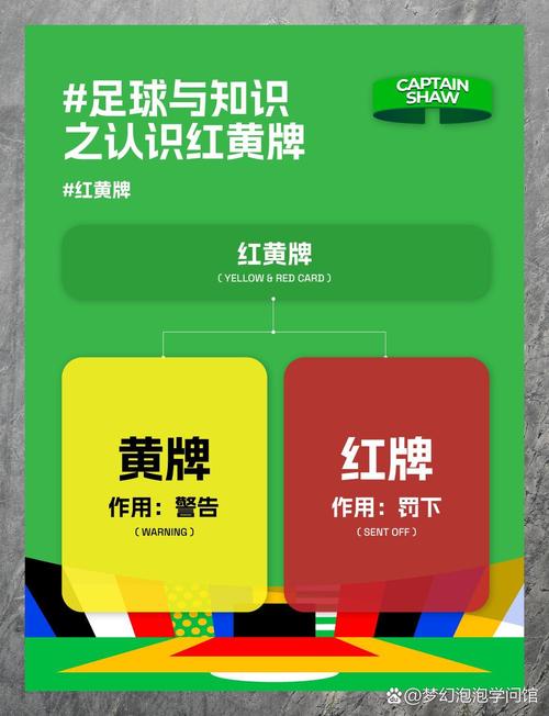英超判罚点球规则（英超 点球）-第5张图片-无暮网