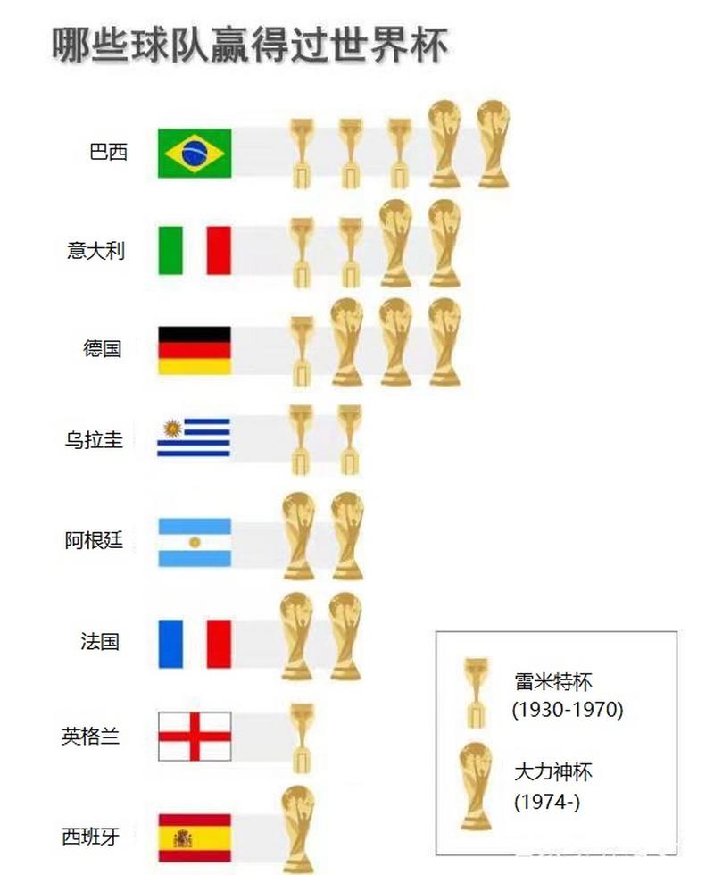 巴西拿过几个世界杯,巴西一共拿过几次世界杯冠军-第4张图片-无暮网