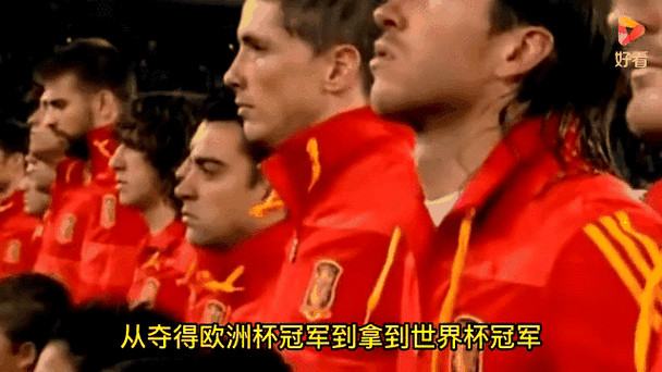 2010年世界杯西班牙阵容名单(2010世界杯西班牙首发阵容)-第1张图片-无暮网 2010年世界杯西班牙阵容名单(2010世界杯西班牙首发阵容)-第1张图片-无暮网