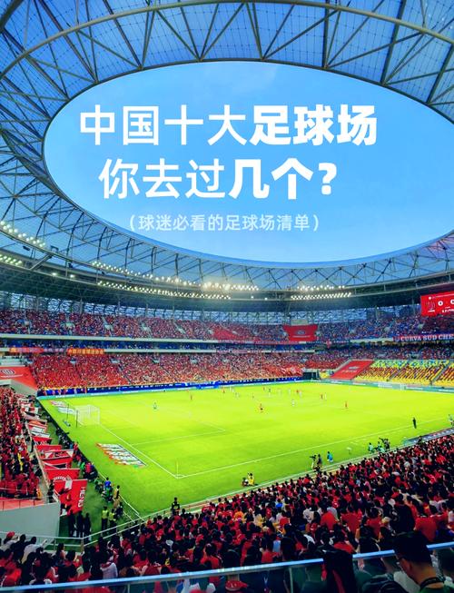 为什么中国没有免费的足球场（中国可以没有足球）-第1张图片-无暮网