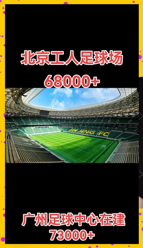 为什么中国没有免费的足球场（中国可以没有足球）-第4张图片-无暮网