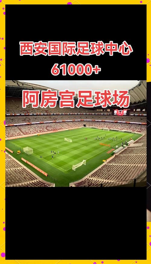 为什么中国没有免费的足球场（中国可以没有足球）-第6张图片-无暮网