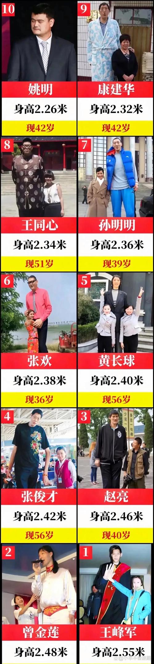 姚明究竟有多高（你知道姚明有多高吗）