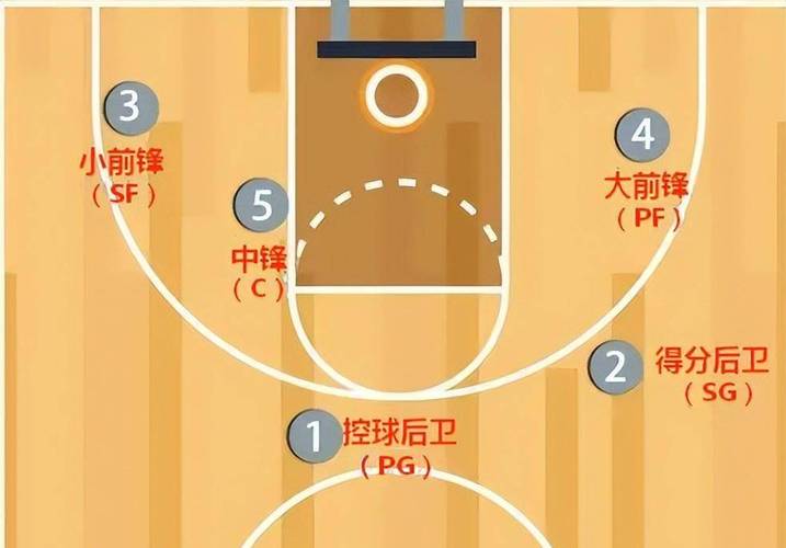 篮球什么位置最难打,篮球什么位置最厉害-第2张图片-无暮网 篮球什么位置最难打,篮球什么位置最厉害-第2张图片-无暮网