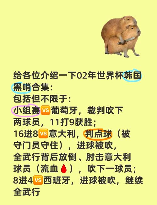 2002年世界杯黑哨全过程（2002年世界杯黑哨全过程视频）-第5张图片-无暮网