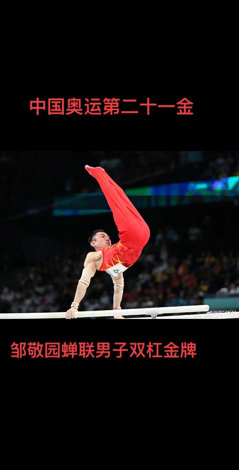邹敬园奥运冠军,奥运会邹敬园双杠-第3张图片-无暮网