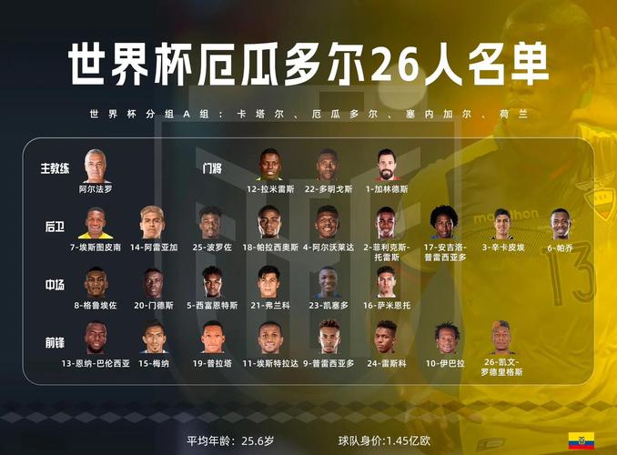 世界杯共有几支球队（世界杯共有几支球队参加）-第4张图片-无暮网