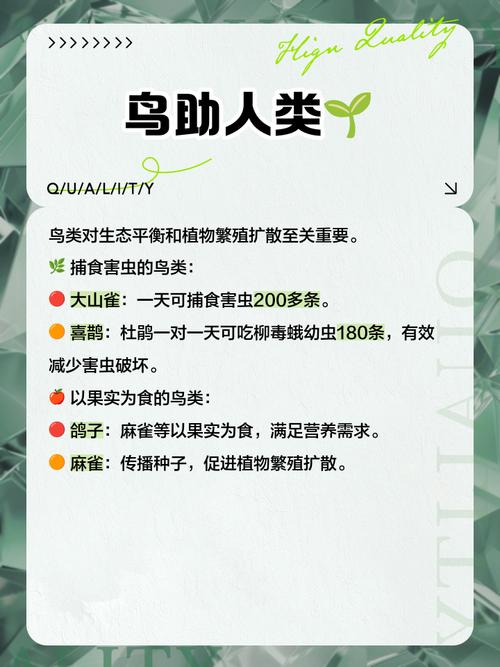 鹈鹕太阳分析,鹈鹕2021-第2张图片-无暮网 鹈鹕太阳分析,鹈鹕2021-第2张图片-无暮网