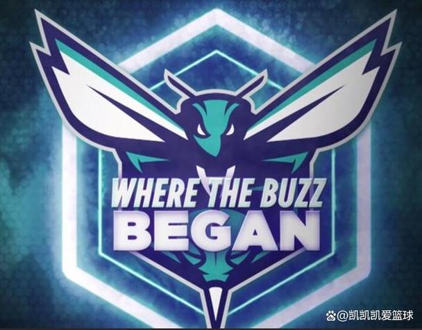 鹈鹕vs黄蜂比分,nba鹈鹕vs黄蜂