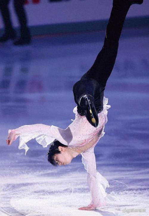 羽生结弦冬奥会4a成功了吗,羽生结弦冬奥会参加什么项目-第4张图片-无暮网 羽生结弦冬奥会4a成功了吗,羽生结弦冬奥会参加什么项目-第4张图片-无暮网