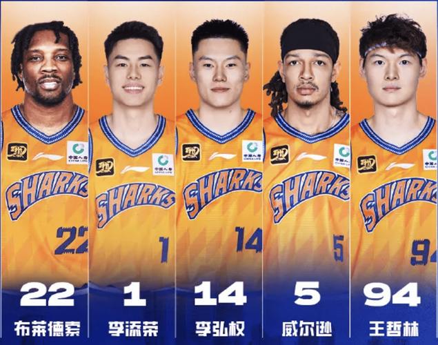 cba王潼身高（篮球运动员王潼）