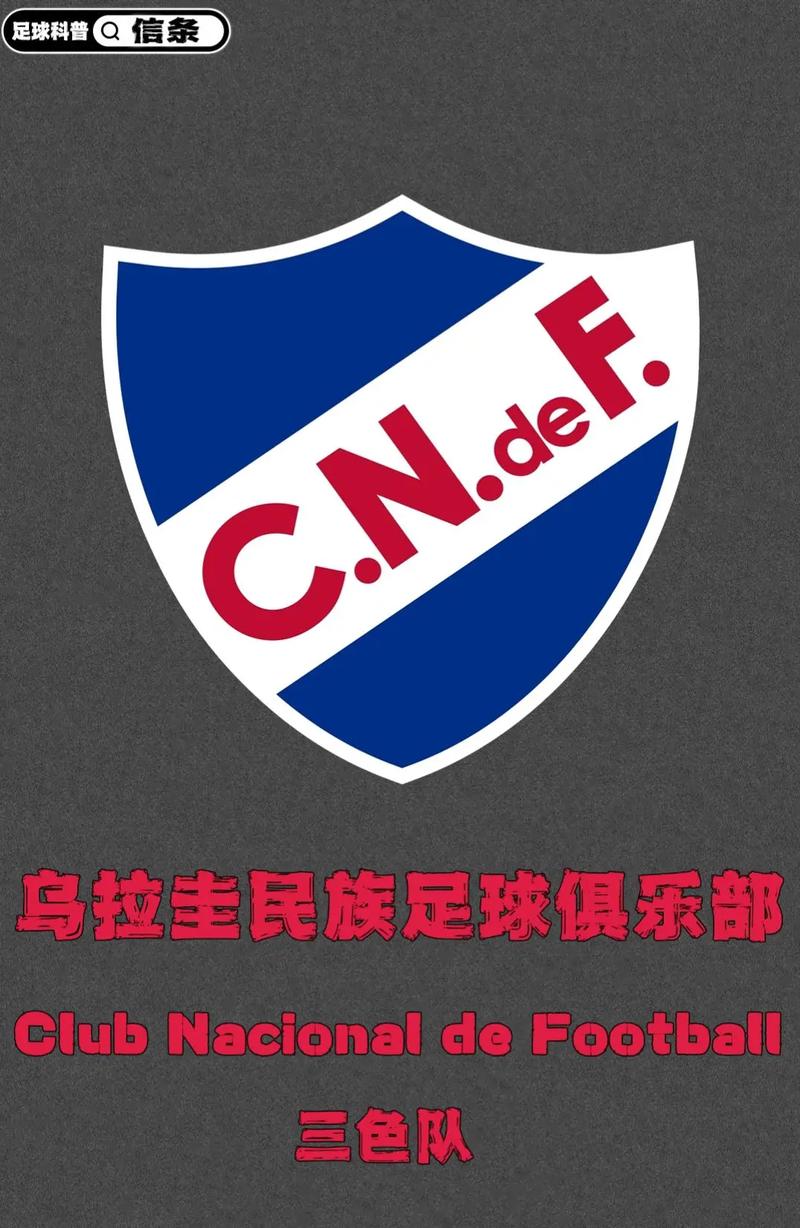 乌拉圭足球队在哪里,乌拉圭球队实力-第2张图片-无暮网 乌拉圭足球队在哪里,乌拉圭球队实力-第2张图片-无暮网