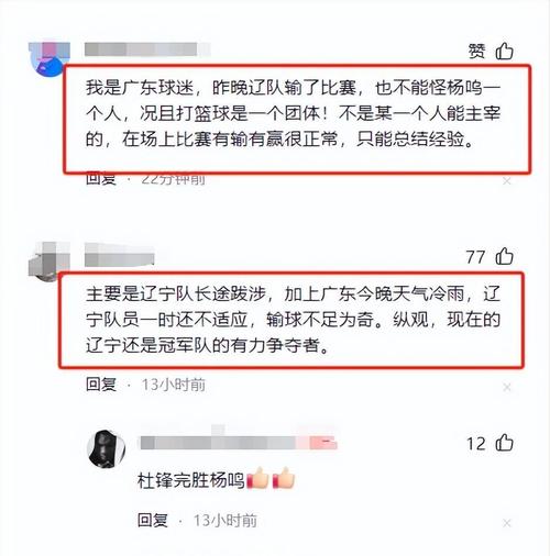 广东队为什么输给辽宁男篮,广东男篮不敌辽宁-第3张图片-无暮网