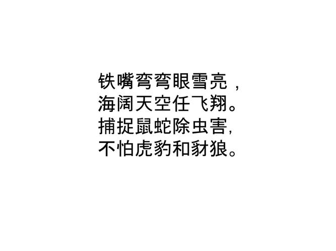 老鹰队球员阵容名单（老鹰队球员名单及薪资）