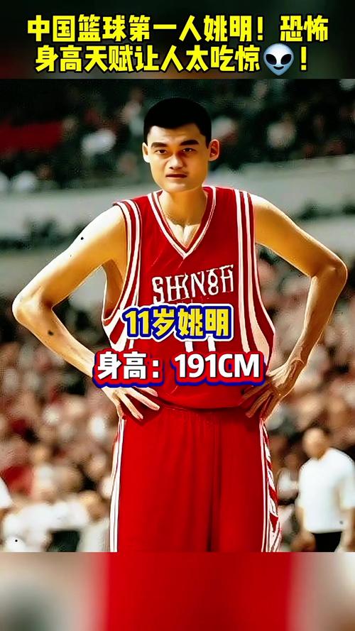 姚明学校在哪个学校,姚明去哪个学校了-第2张图片-无暮网 姚明学校在哪个学校,姚明去哪个学校了-第2张图片-无暮网
