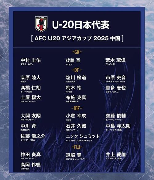 日本国家男子足球队名单(日本男足国家队大名单)-第7张图片-无暮网 日本国家男子足球队名单(日本男足国家队大名单)-第7张图片-无暮网