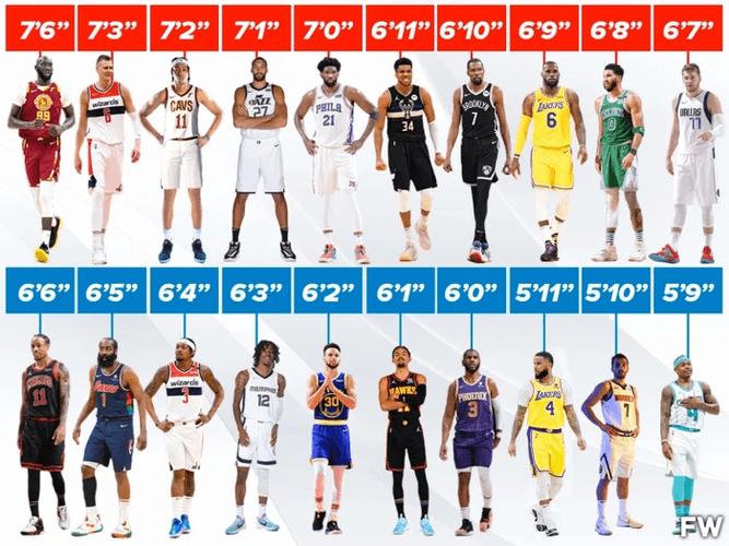 各个nba球星的身高,nba所有球星身高-第3张图片-无暮网 各个nba球星的身高,nba所有球星身高-第3张图片-无暮网
