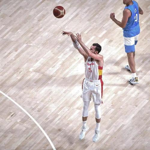 鲁迪费尔南德斯为什么不打nba了（鲁迪费尔南德斯什么水平）-第6张图片-无暮网