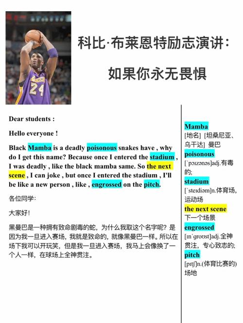 科比死亡是否阴谋(科比死亡是否阴谋的)-第3张图片-无暮网 科比死亡是否阴谋(科比死亡是否阴谋的)-第3张图片-无暮网