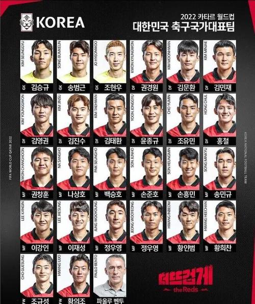 韩国足球世界排名多少（韩国足球在世界的排名）-第6张图片-无暮网