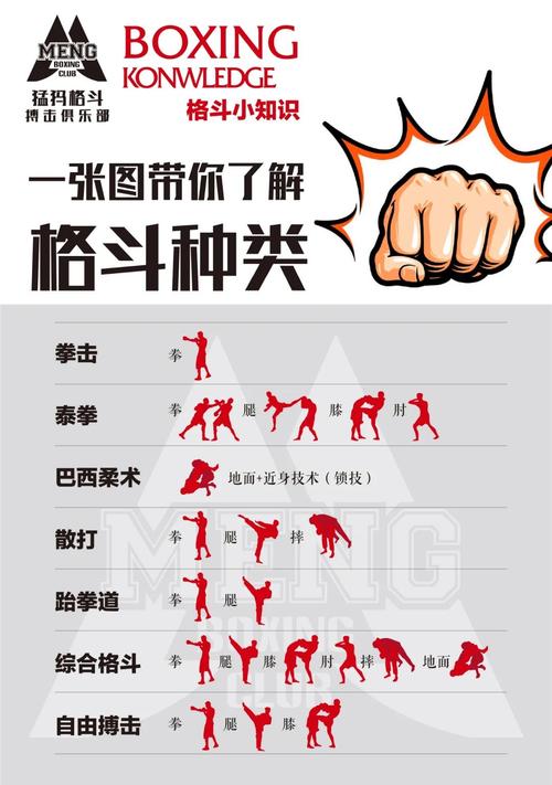 巴西柔术和跆拳道哪个厉害(巴西柔术和跆拳道哪个更适合小孩子)-第5张图片-无暮网 巴西柔术和跆拳道哪个厉害(巴西柔术和跆拳道哪个更适合小孩子)-第5张图片-无暮网