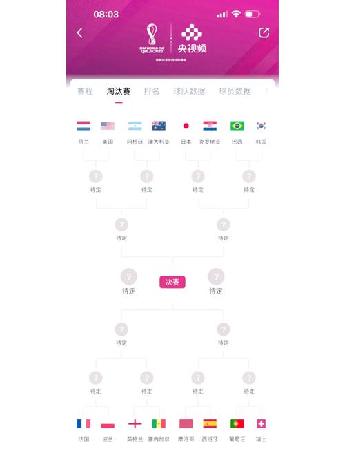 卡塔尔世界杯对阵表,卡塔尔世界杯对阵表预测-第4张图片-无暮网 卡塔尔世界杯对阵表,卡塔尔世界杯对阵表预测-第4张图片-无暮网