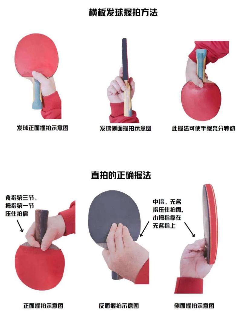 乒乓球拍握法分为哪两种,乒乓球拍握法有几种-第2张图片-无暮网 乒乓球拍握法分为哪两种,乒乓球拍握法有几种-第2张图片-无暮网