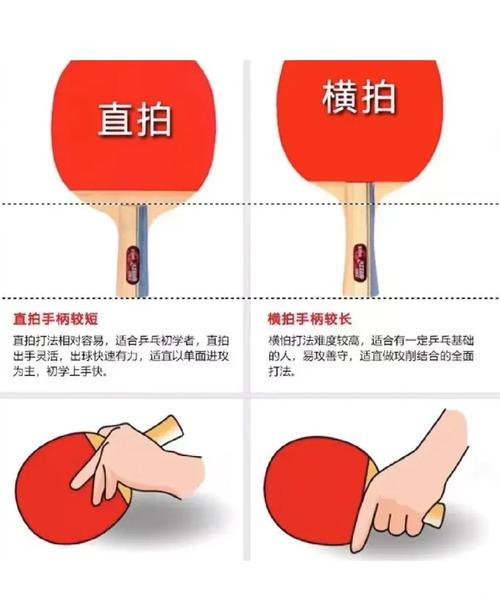 乒乓球拍握法分为哪两种,乒乓球拍握法有几种-第3张图片-无暮网 乒乓球拍握法分为哪两种,乒乓球拍握法有几种-第3张图片-无暮网