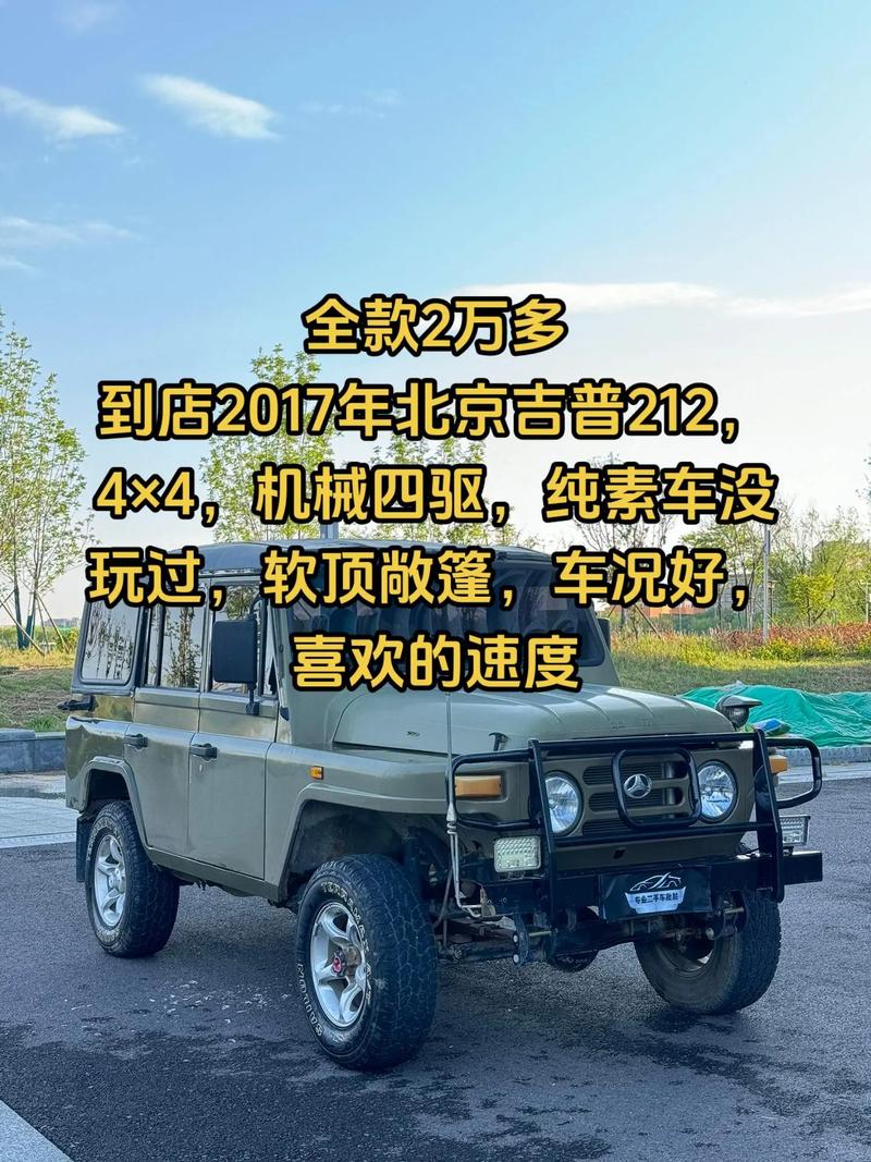 勇士越野车军用版,勇士越野车军用版图片-第4张图片-无暮网