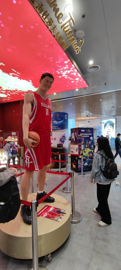 姚明的臂展是多少,姚明臂展肩宽-第3张图片-无暮网 姚明的臂展是多少,姚明臂展肩宽-第3张图片-无暮网