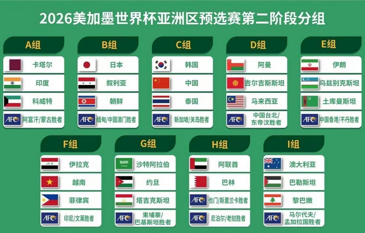 世界杯亚洲名额几个国家参加(世界杯名额亚洲有几个)-第8张图片-无暮网 世界杯亚洲名额几个国家参加(世界杯名额亚洲有几个)-第8张图片-无暮网