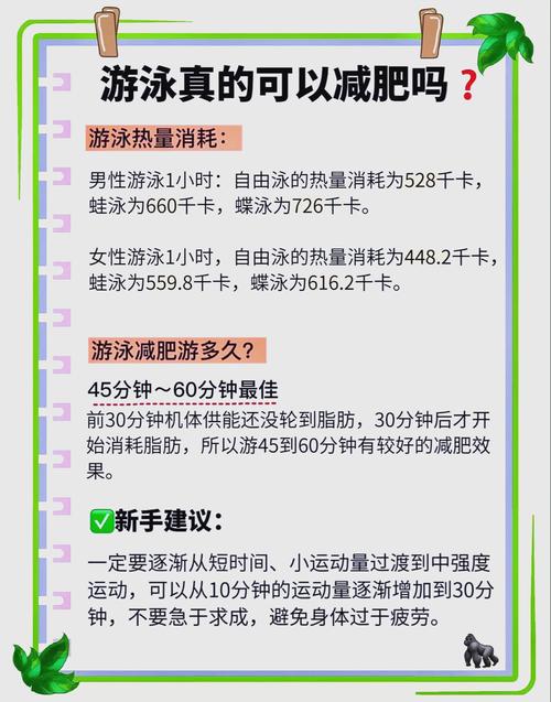游泳能减肥吗,游泳能减肥吗肚子能变小吗-第8张图片-无暮网