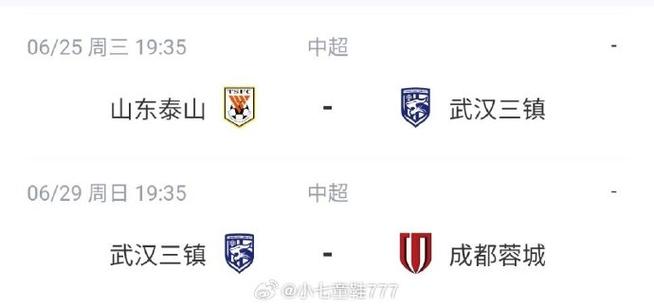 中超:武汉三镇u15男队获亚军（中乙武汉三镇队）-第3张图片-无暮网