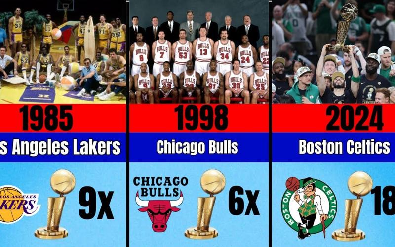 13年nba哪个是总冠军,13年nba总冠军是哪个球队-第3张图片-无暮网 13年nba哪个是总冠军,13年nba总冠军是哪个球队-第3张图片-无暮网