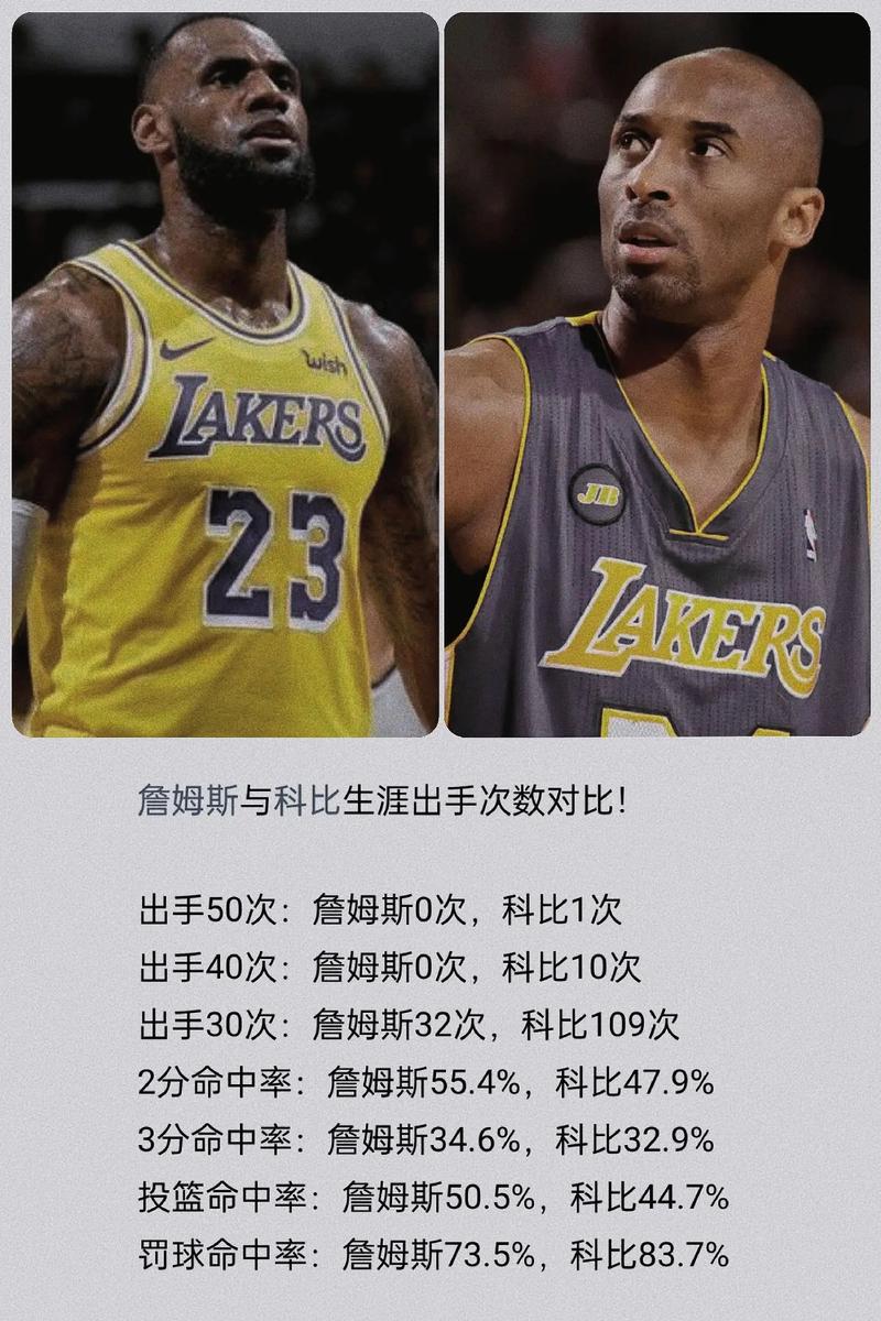 詹姆斯历年防守效率排名（詹姆斯历年防守效率排名多少）-第3张图片-无暮网